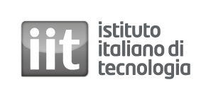 IIT (Guest Student)